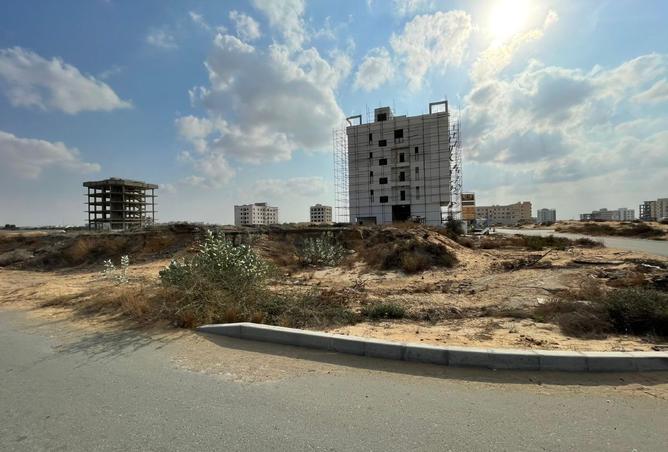 15599866 - Property Image 3