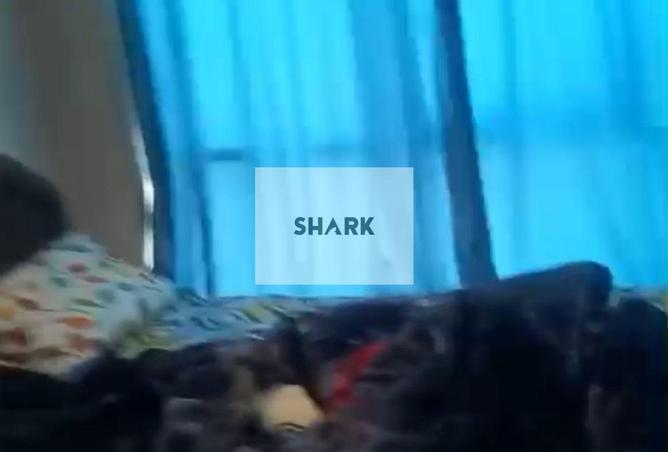 15490752 - Property Image 3