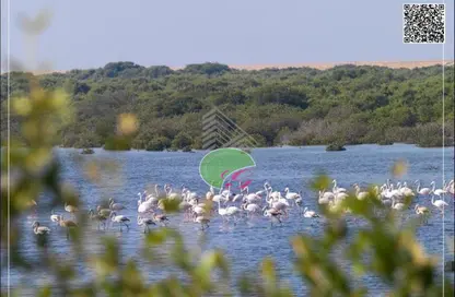 Land - Studio for sale in Creekside - Al Zorah - Ajman