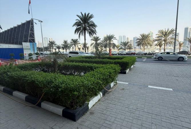 15541002 - Property Image 3