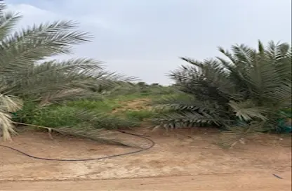 Farm - Studio for sale in Al Khaznah - Al Ain