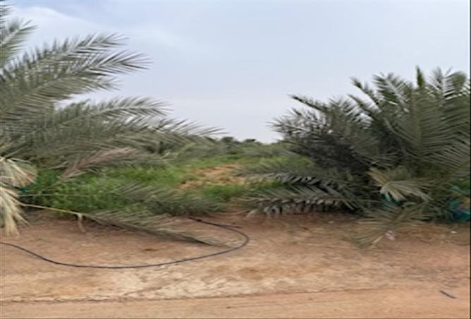 15262532 - Property Main Image