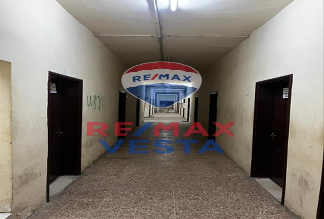 16074861 - Property Image 3