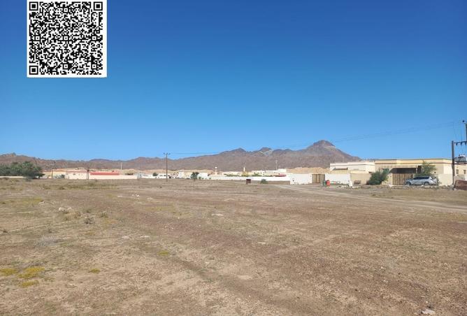 15504399 - صورة العقار 2