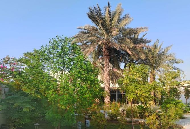 15447411 - Property Image 3