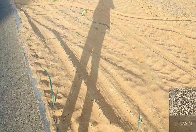 15977029 - صورة العقار 3