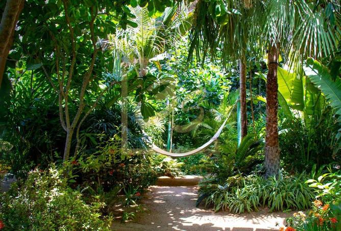 15650590 - Property Image 2