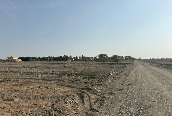 15595985 - Property Image 2