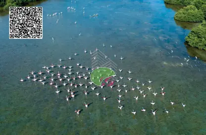 Apartment - 3 Bedrooms - 4 Bathrooms for sale in Creekside - Al Zorah - Ajman