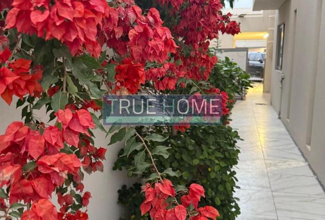 15975598 - صورة العقار 3