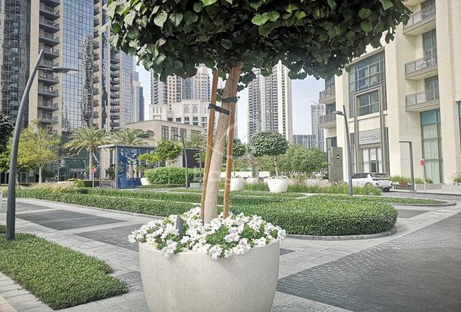 15808835 - Property Image 3