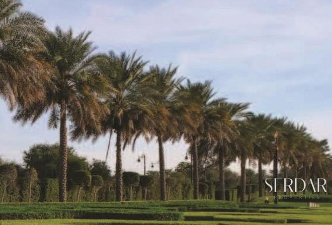 15650231 - صورة العقار 3