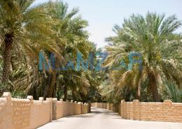 Farm for sale in Liwa - Abu Dhabi