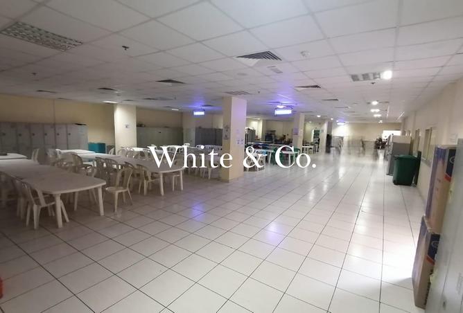 15549609 - Property Image 3