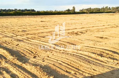 Land - Studio for rent in Al Dhafrah - Abu Dhabi