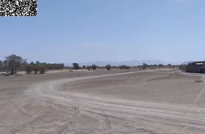 Land - Studio for sale in Manama - Ajman Land - Studio for sale in Manama - Ajman