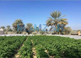 Farm for sale in Al Bahia - Abu Dhabi