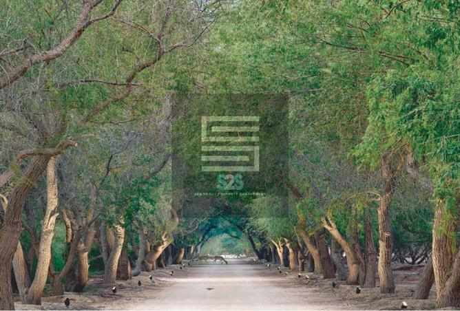 16045826 - صورة العقار 3