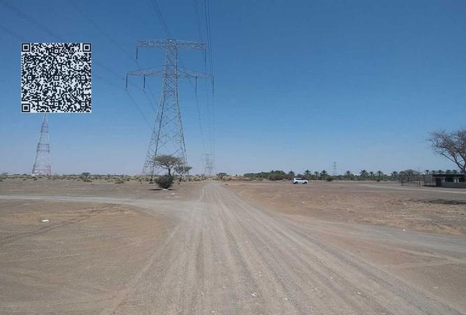 16033081 - Property Image 3