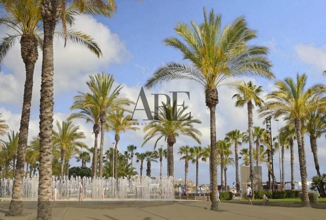 15572503 - Property Image 2