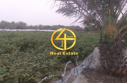 مزرعة - استوديو - 3 حمامات للبيع في العجبان - أبوظبي
