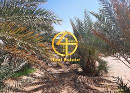 Farm - 1 bathroom for sale in Al Salamat - Al Ain