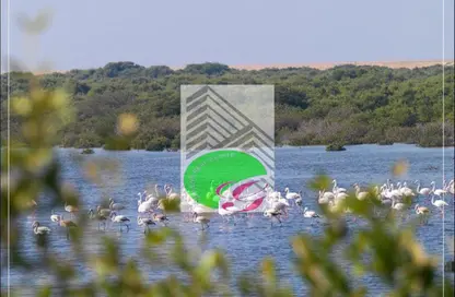 Land - Studio for sale in Creekside - Al Zorah - Ajman