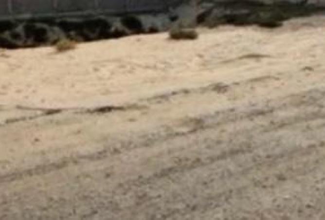 15841817 - صورة العقار 2