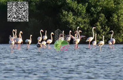 شقة - غرفة نوم - 2 حمامات للبيع في سيلاين ريزيدينسز - الزورا - عجمان