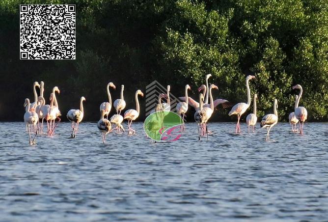 15037162 - Property Main Image