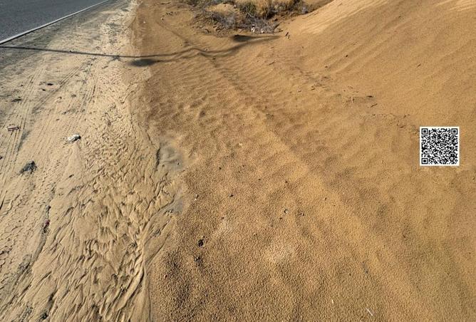 15847076 - Property Image 3