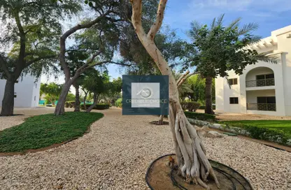 Apartment - 1 Bedroom - 1 Bathroom for rent in The Gardens Buildings - The Gardens - Dubai