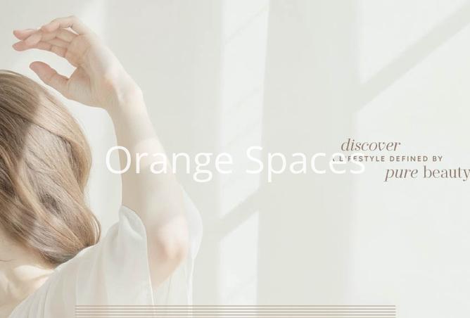 15956864 - Property Image 2