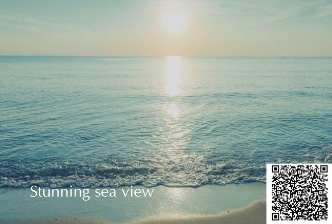 15389626 - Property Image 2
