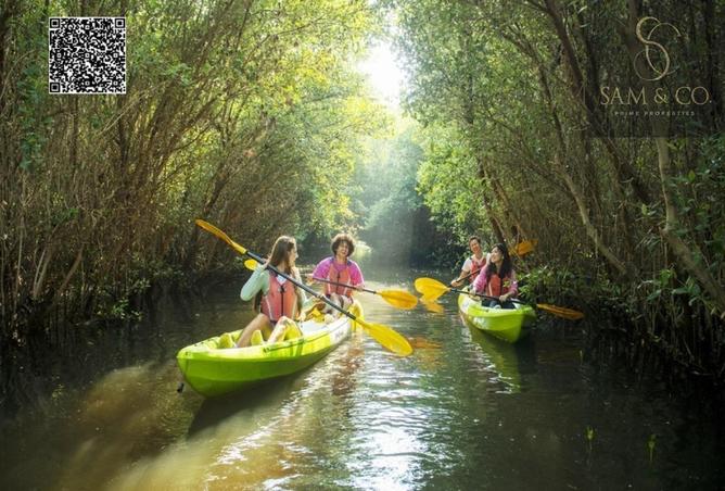 15647930 - صورة العقار 3