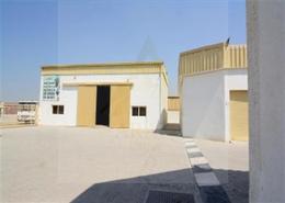 Warehouse for rent in SG 10 Building - Industrial Area 10 - Sharjah Industrial Area - Sharjah