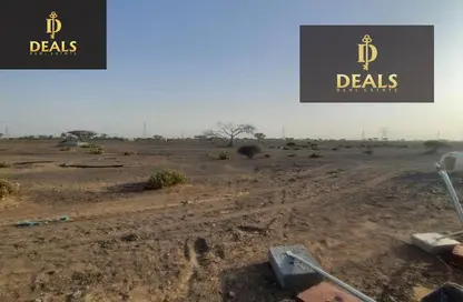 Land - Studio for sale in Manama - Ajman
