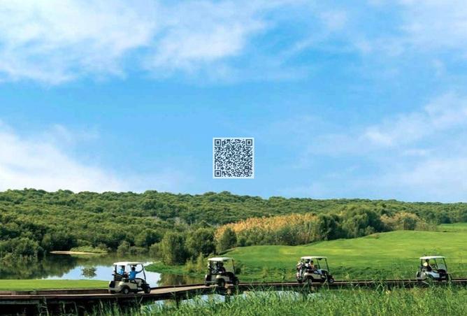 15592725 - Property Image 2