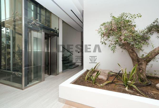 15911993 - Property Image 3