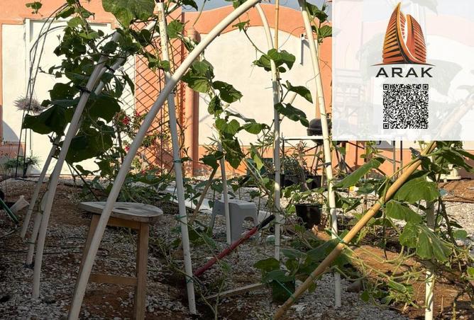 16022655 - Property Image 3