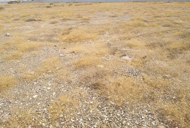 16070401 - صورة العقار 3