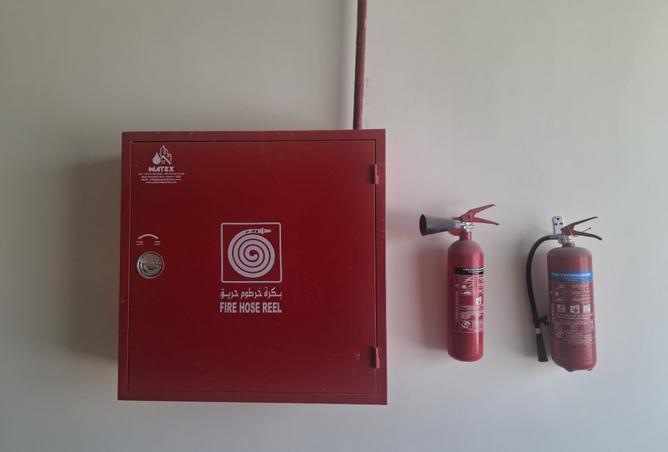 15287708 - Property Image 3