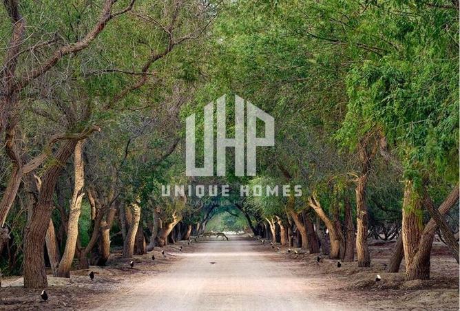 15595439 - صورة العقار 3