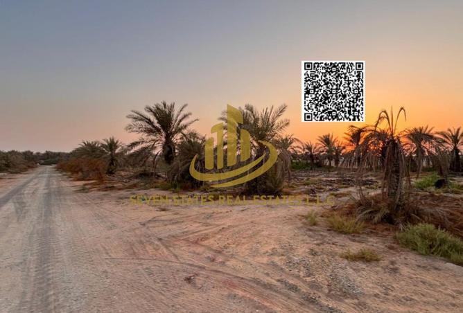 16094049 - Property Image 3