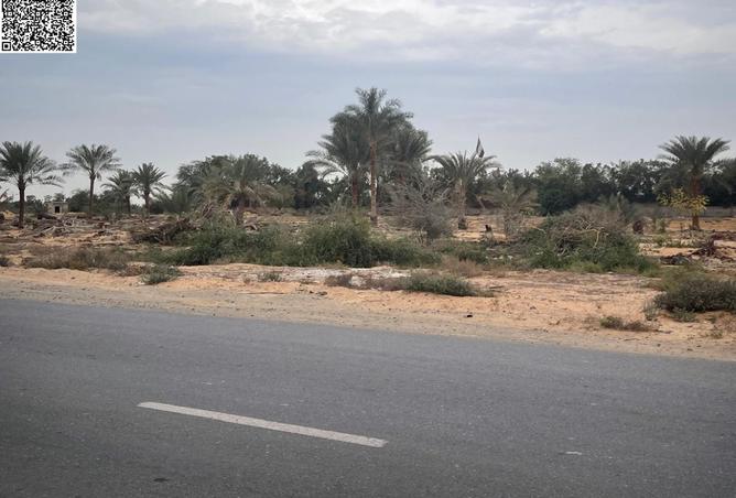 15718678 - صورة العقار 2