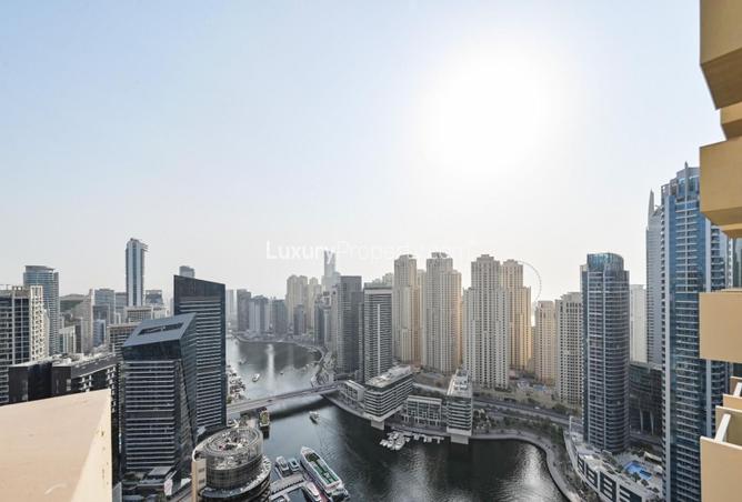 16080248 - الصورة الرئيسية للعقار