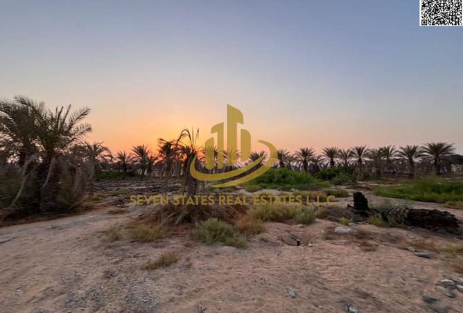 15337349 - صورة العقار 3