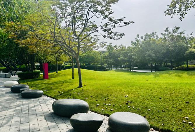 15811188 - صورة العقار 3