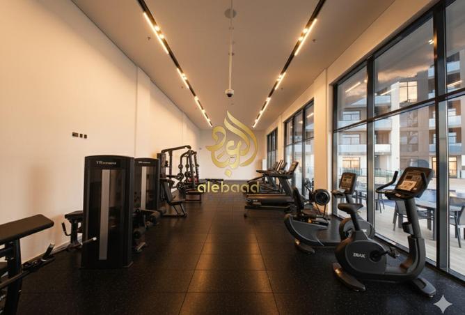 16066784 - Property Image 3