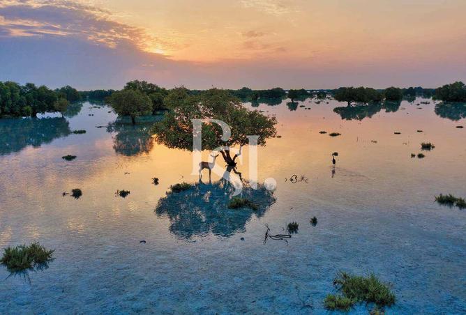 15585214 - صورة العقار 2